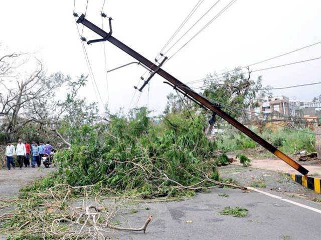 पेड़ गिरने से 5 लाख रूपये का नुकसान- ddnewsportal.com