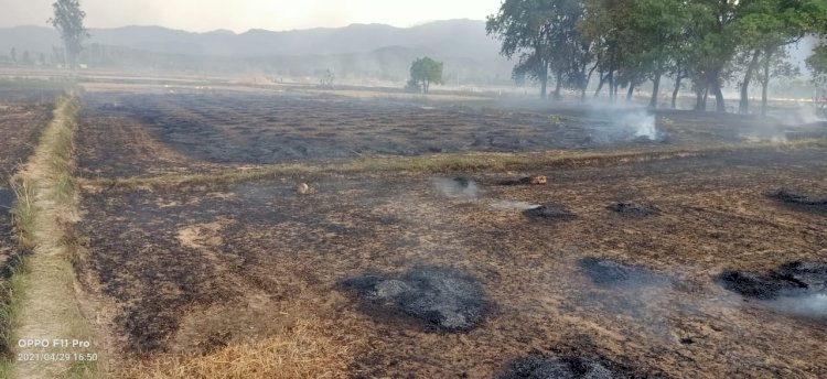 50 क्विंटल खेतों मे पड़ी गेंहू जलकर खाक- ddnewsportal.com