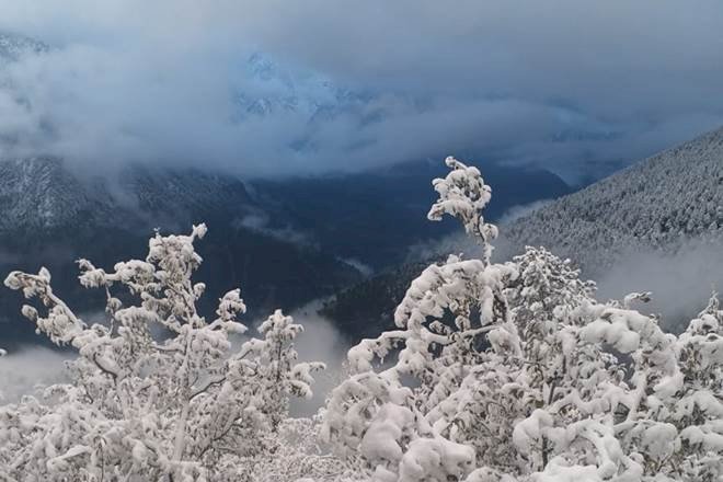 जानिएं कब से शुरु होगा हिमाचल में बारिश-बर्फबारी का दौर ddnewsportal.com
