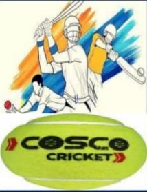 स्पोर्टस- यहाँ 24 से होगा डे-नाईट Cosco बाॅल क्रिकेट टूर्नामेंट ddnewsportal.com