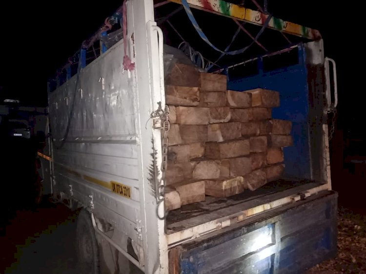 Paonta Sahib: पुलिस के सामने मौके से फरार हुआ लकड़ी तस्कर चालक  ddnewsportal.com