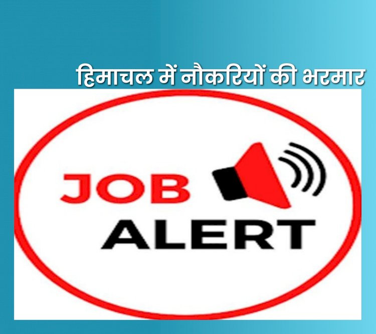 Himachal Job Alert: नौकरियाँ ही नौकरियाँ: हिमाचल में बंपर भर्ती  ddnewsportal.com