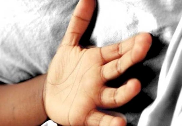 Himachal News: जानिये क्यों कब्र से निकाला गया बच्चे का शव...  ddnewsportal.com