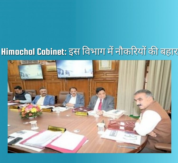Himachal Cabinet News: शिक्षा विभाग में नौकरियों की बहार  ddnewsportal.com