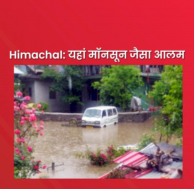 Himachal: उफ्फ- इतनी बारिश की घरों में घुस गया पानी ddnewsportal.com