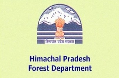 Himachal News : वन संपदा को बचाने के लिए विभाग हुआ सख्त- अवहेलना पर सजा  ddnewsportal.com