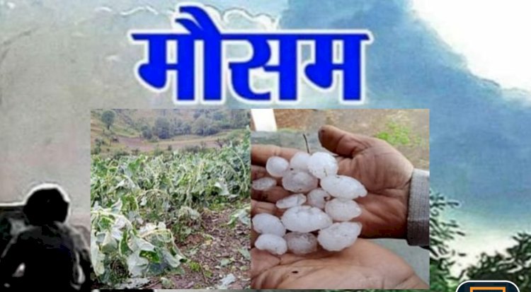 Himachal Weather Update: दो दिन अंधड़ चलने का येलो अलर्ट  ddnewsportal.com