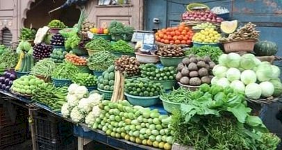 Himachal News: फल और सब्जी उगाने वाले अब हो जाएं सावधान... ddnewsportal.com