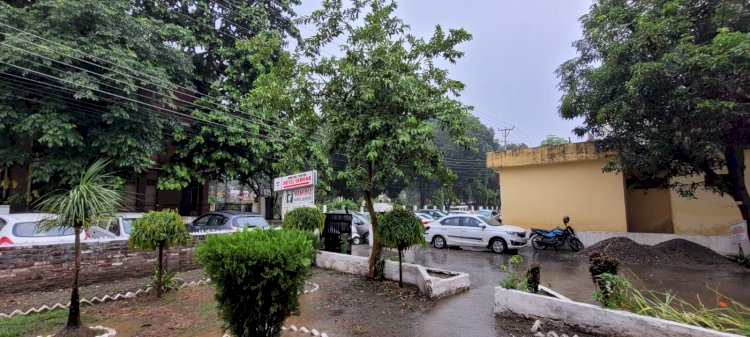 Paonta Sahib: बारिश से उमस भरी गर्मी से मिली राहत ddnewsportal.com