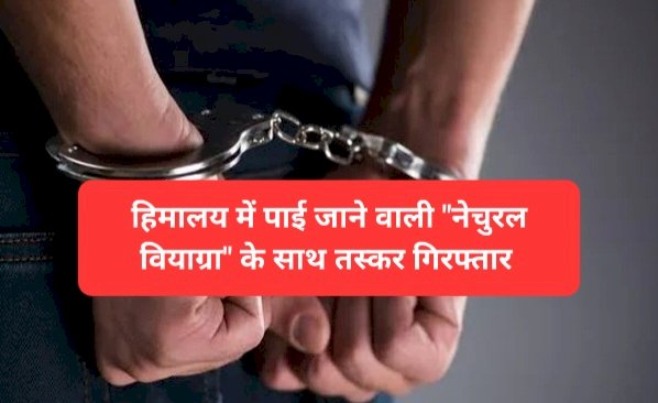 Himachal Crime News: हिमालय में पाई जाने वाली नेचुरल वियाग्रा नाम की जड़ी-बूटी के साथ तस्कर गिरफ्तार ddnewsportal.com