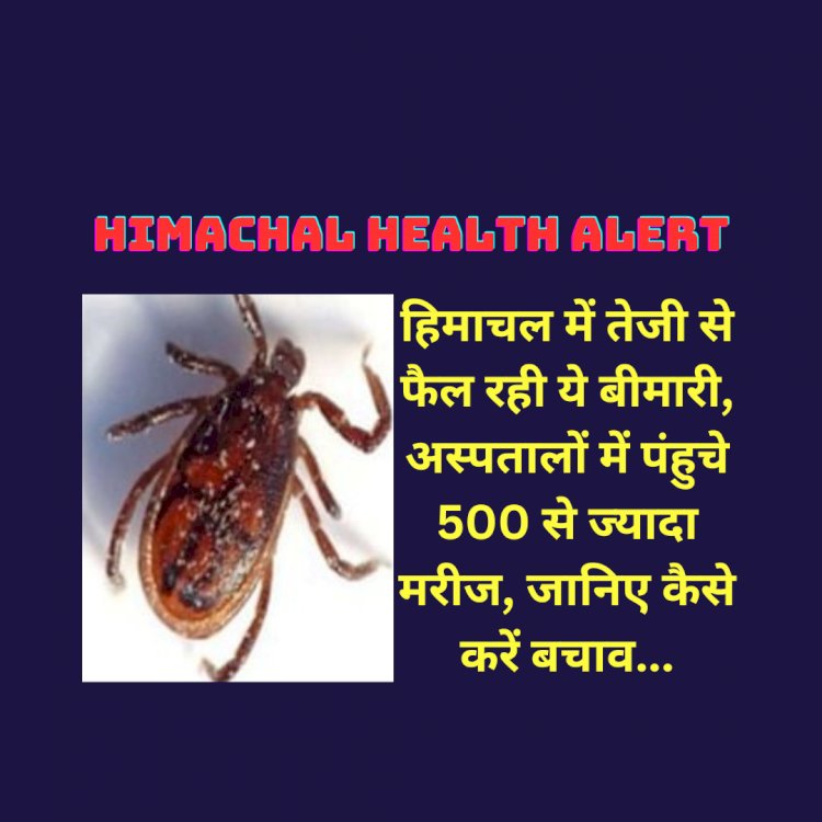 Himachal Health Alert: हिमाचल में तेजी से फैल रही ये बीमारी, अस्पतालों में पंहुचे 500 से ज्यादा मरीज, जानिए कैसे करें बचाव... ddnewsportal.com
