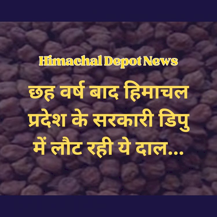 Himachal Depot News: छह वर्ष बाद सरकारी डिपु में लौट रही ये दाल... ddnewsportal.com