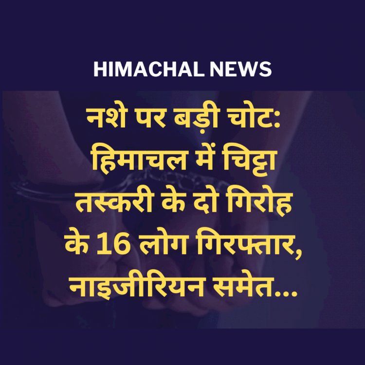 Himachal News: नशे पर बड़ी चोट: हिमाचल में चिट्टा तस्करी के दो गिरोह के 16 लोग गिरफ्तार, नाइजीरियन समेत... ddnewsportal.com