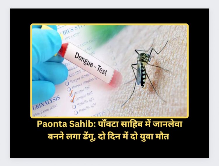 Paonta Sahib: पाँवटा साहिब में जानलेवा बनने लगा डेंगू, दो दिन में दो युवा मौत ddnewsportal.com