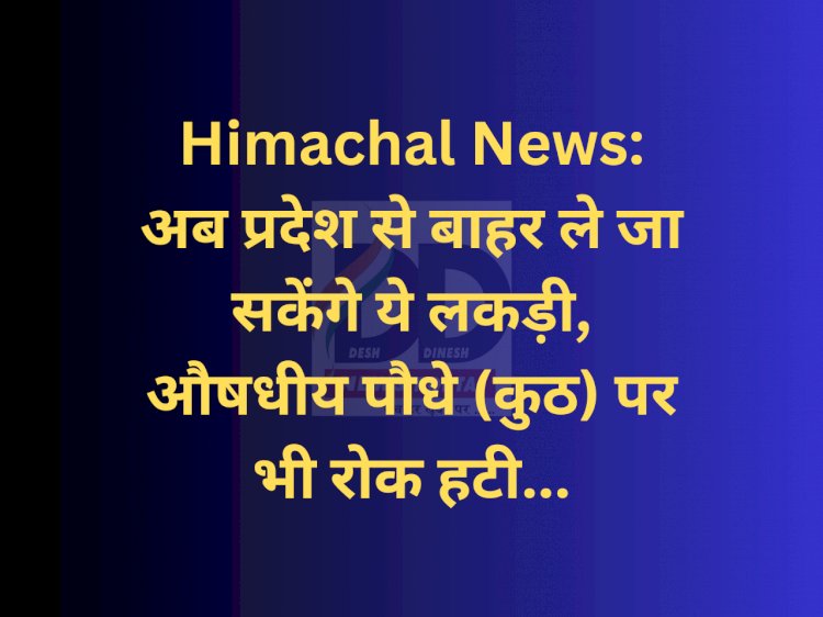 Himachal News: अब प्रदेश से बाहर ले जा सकेंगे ये लकड़ी... ddnewsportal.com