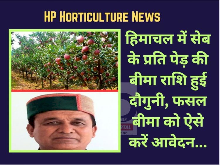 HP Horticulture News: सेब के प्रति पेड़ की बीमा राशि हुई दौगुनी, फसल बीमा को ऐसे करें आवेदन... ddnewsportal.com