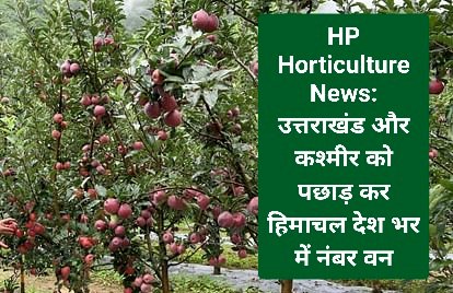 HP Horticulture News: उत्तराखंड और कश्मीर को पछाड़ कर हिमाचल देश भर में नंबर वन  ddnewsportal.com