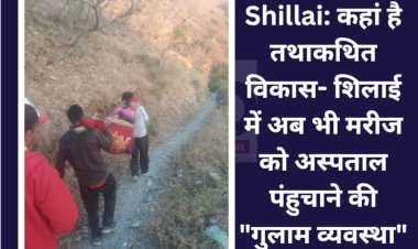 Shillai: कहां है तथाकथित विकास- शिलाई में अब भी मरीज को अस्पताल पंहुचाने की गुलाम व्यवस्था ddnewsportal.com