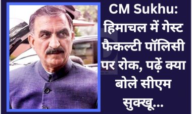 CM Sukhu: हिमाचल में गेस्ट फैकल्टी पॉलिसी पर रोक, पढ़ें क्या बोले सीएम सुक्खू... ddnewsportal.com