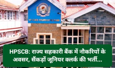 HPSCB: राज्य सहकारी बैंक में नौकरियों के अवसर, सैंकड़ों जूनियर क्लर्क की भर्ती... ddnewsportal.com
