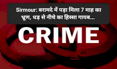 Sirmour: बरामदे में पड़ा मिला 7 माह का भ्रूण, धड़ से नीचे का हिस्सा गायब...  ddnewsportal.com