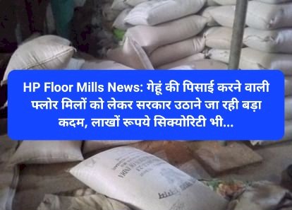 HP Floor Mills News: गेहूं की पिसाई करने वाली फ्लोर मिलों को लेकर सरकार उठाने जा रही बड़ा कदम... ddnewsportal.com