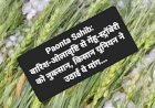 Paonta Sahib: बारिश-ओलावृष्टि से गेंहू-स्ट्रॉबेरी को नुकसान, किसान यूनियन ने उठाई ये मांग... ddnewsportal.com