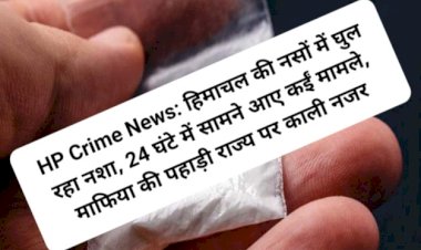 HP Crime News: हिमाचल की नसों में घुल रहा नशा, माफिया की पहाड़ी राज्य पर काली नजर  ddnewsportal.com