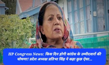 HP Congress News: किस दिन होगी कांग्रेस के उम्मीदवारों की घोषणा! प्रदेश अध्यक्ष प्रतिभा सिंह ने कहा कुछ ऐसा... ddnewsportal.com