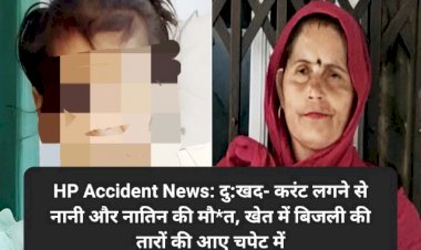 HP Accident News: दु:खद- करंट लगने से नानी और नातिन की मौ*त, खेत में बिजली की तारों की आए चपेट में  ddnewsportal.com