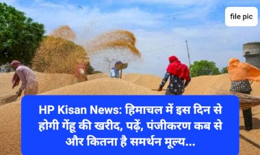 HP Kisan News: हिमाचल में इस दिन से होगी गेंहू की खरीद, पढ़ें, पंजीकरण कब से और कितना है समर्थन मूल्य... ddnewsportal.com