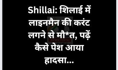 Shillai: शिलाई में लाइनमैन की करंट लगने से मौ*त, पढ़ें, कैसे पेश आया हादसा... ddnewsportal.com