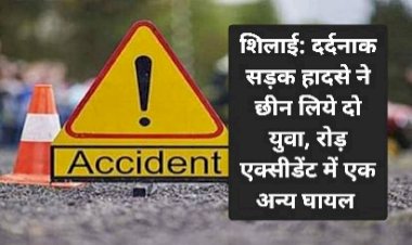 शिलाई: दर्दनाक सड़क हादसे ने छीन लिये दो युवा, रोड़ एक्सीडेंट में एक अन्य घायल ddnewsportal.com