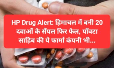 HP Drug Alert: हिमाचल में बनी 20 दवाओं के सैंपल फिर फेल, पाँवटा साहिब की ये फार्मा कंपनी भी... ddnewsportal.com
