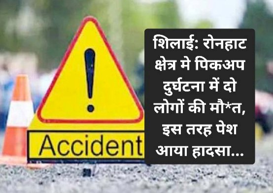 शिलाई: रोनहाट क्षेत्र मे पिकअप दुर्घटना में दो लोगों की मौ*त, इस तरह पेश आया हादसा... ddnewsportal.com