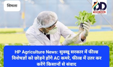 HP Agriculture News: सुक्खू सरकार में फील्ड विशेषज्ञों को छोड़ने होंगे AC कमरे, जानिए क्यों... ddnewsportal.com