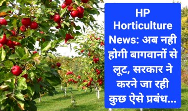 HP Horticulture News: अब नही होगी बागवानों से लूट, सरकार ने करने जा रही कुछ ऐसे प्रबंध... ddnewsportal.com