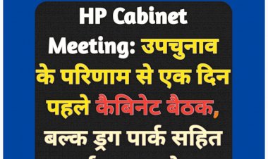 HP Cabinet Meeting: उपचुनाव के परिणाम से एक दिन पहले कैबिनेट बैठक, बल्क ड्रग पार्क सहित कई अहम मुद्दे... ddnewsportal.com