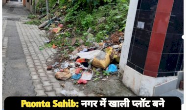 Paonta Sahib: नगर में खाली प्लाॅट बने कूड़ेदान, जनता झेल रही दिक्कत, नप से कार्रवाई की मांग ddnewsportal.com