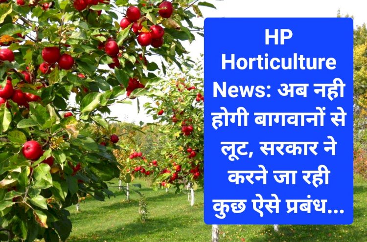 HP Horticulture News: अब नही होगी बागवानों से लूट, सरकार ने करने जा रही कुछ ऐसे प्रबंध... ddnewsportal.com