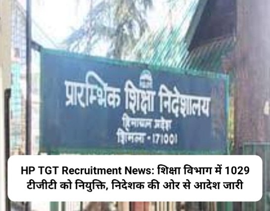 HP TGT Recruitment News: शिक्षा विभाग में 1029 टीजीटी को नियुक्ति, निदेशक की ओर से आदेश जारी  ddnewsportal.com