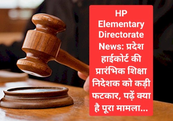 HP Elementary Directorate News: प्रदेश हाईकोर्ट की प्रारंभिक शिक्षा निदेशक को कड़ी फटकार, पढ़ें क्या है पूरा मामला...  ddnewsportal.com