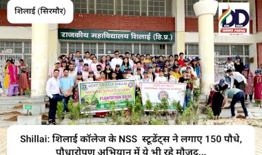 Shillai: शिलाई कॉलेज के NSS  स्टूडेंट्स ने लगाए 150 पौधे, पौधारोपण अभियान में ये भी रहे मौजूद... ddnewsportal.com