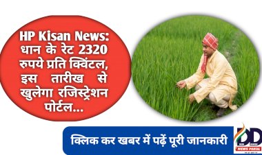 HP Kisan News: धान के रेट 2320 रुपये प्रति क्विंटल, इस तारीख से खुलेगा रजिस्ट्रेशन पोर्टल... ddnewsportal.com