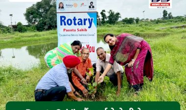 Paonta Sahib: पैंशनर्ज ने रोटरी के साथ मिलकर मतस्य फार्म पर किया पौधारोपण ddnewsportal.com