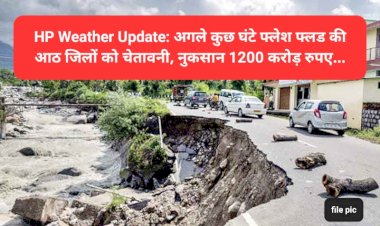 HP Weather Update: अगले कुछ घंटे फ्लेश फ्लड की आठ जिलों को चेतावनी, नुकसान 1200 करोड़ रुपए... ddnewsportal.com