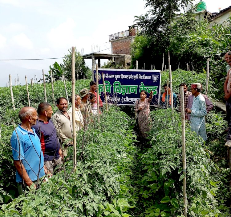 गिरिपार: कफोटा-जाखना-शरली में KVK धोलाकुंआ और पशुपालन विभाग के जागरूकता शिविर ddnewsportal.com