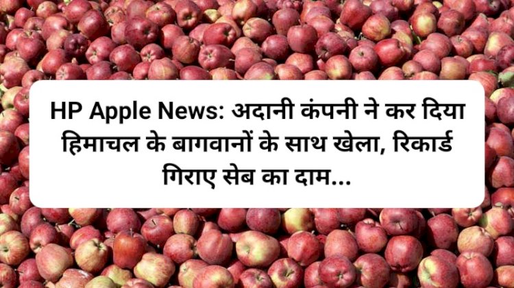 HP Apple News: अदानी कंपनी ने कर दिया हिमाचल के बागवानों के साथ खेला, रिकार्ड गिराए सेब का दाम... ddnewsportal.com