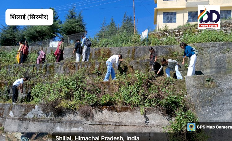 Shillai: NSS स्वयंसेवकों ने काटी स्टाफ और प्रिंसिपल रेजिडेंस के इर्द-गिर्द बरसात में उगी झाड़ियां ddnewsportal.com