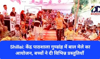 Shillai: केंद्र पाठशाला गुण्डांह में बाल मेले का आयोजन, बच्चों ने दी विभिन्न प्रस्तुतियाँ ddnewsportal.com